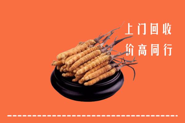 附近收购：聊城市东阿县冬虫夏草回收多少钱每克